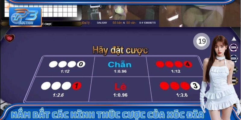 Nắm bắt hình thức đặt cược của Xóc đĩa