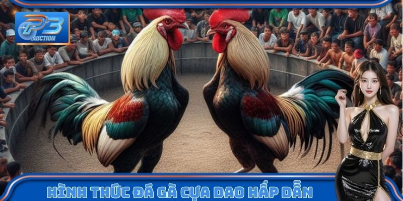 Tham gia cá độ gà cựa dao hấp dẫn